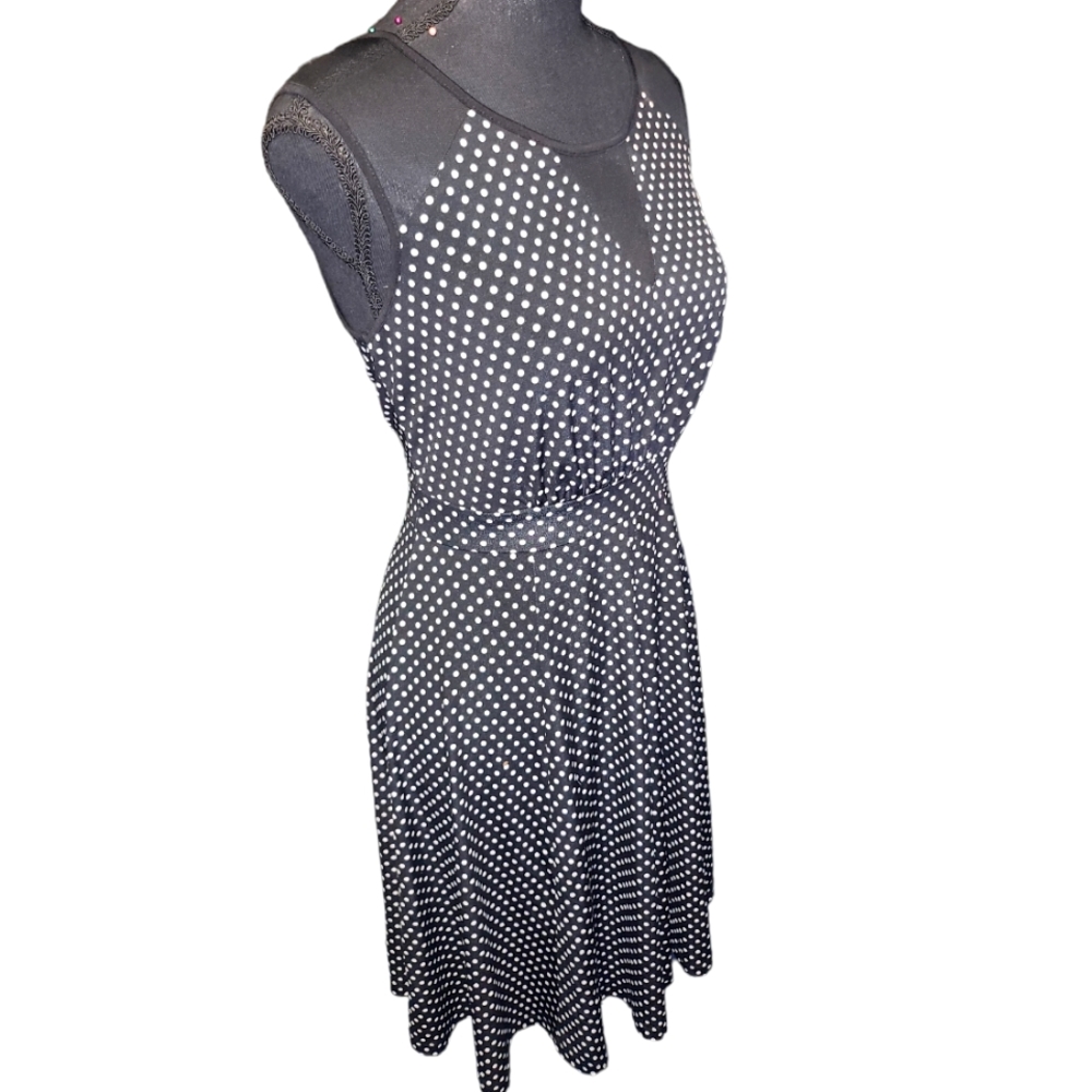 Polka Dot Enfocus Studio Dress  Size 8